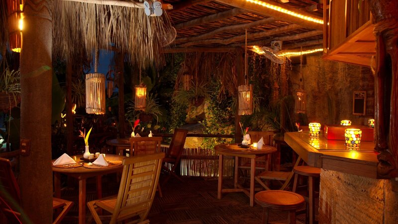 Tropical Restaurant Interior — Brown