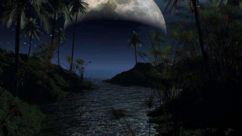 Tropical River at Night — Black