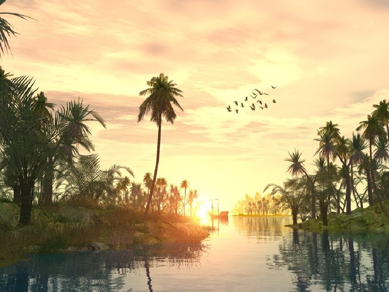 Tropical River at Sunset
