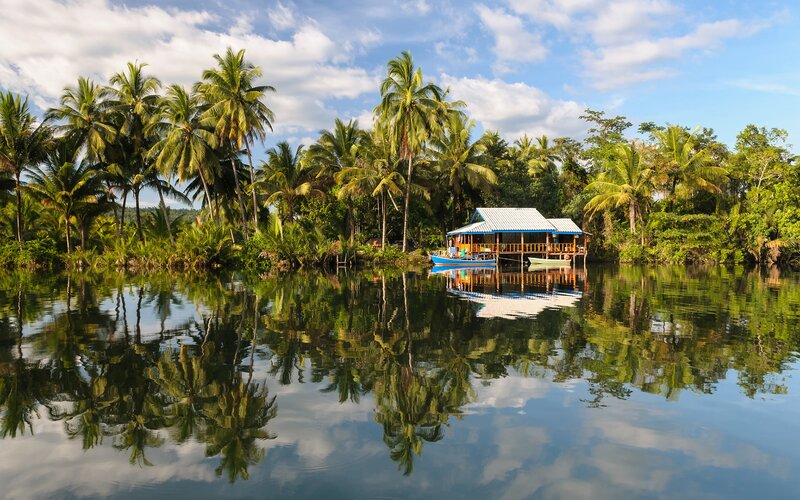 Tropical river hut with palm trees