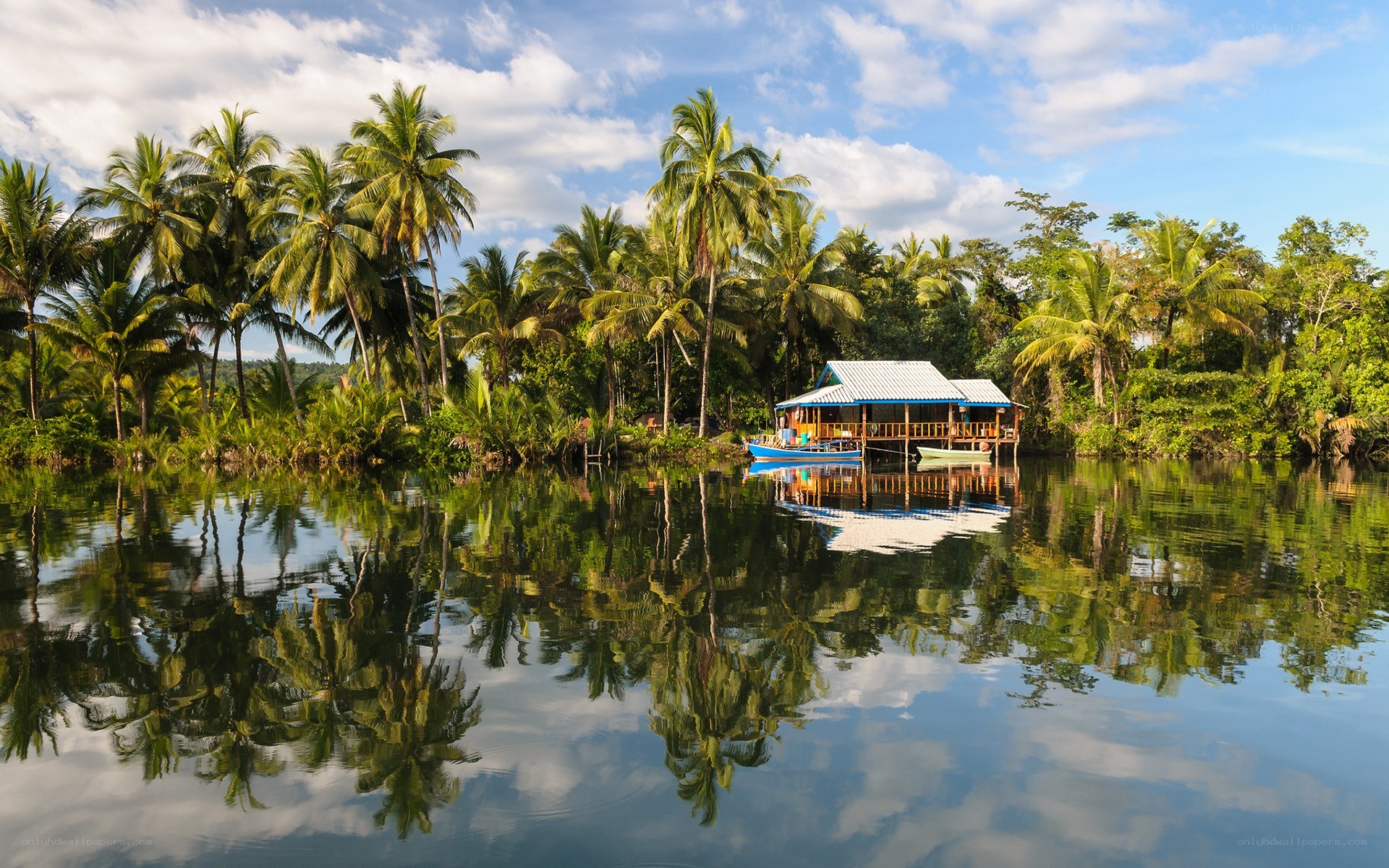 Tropical river hut with palm trees