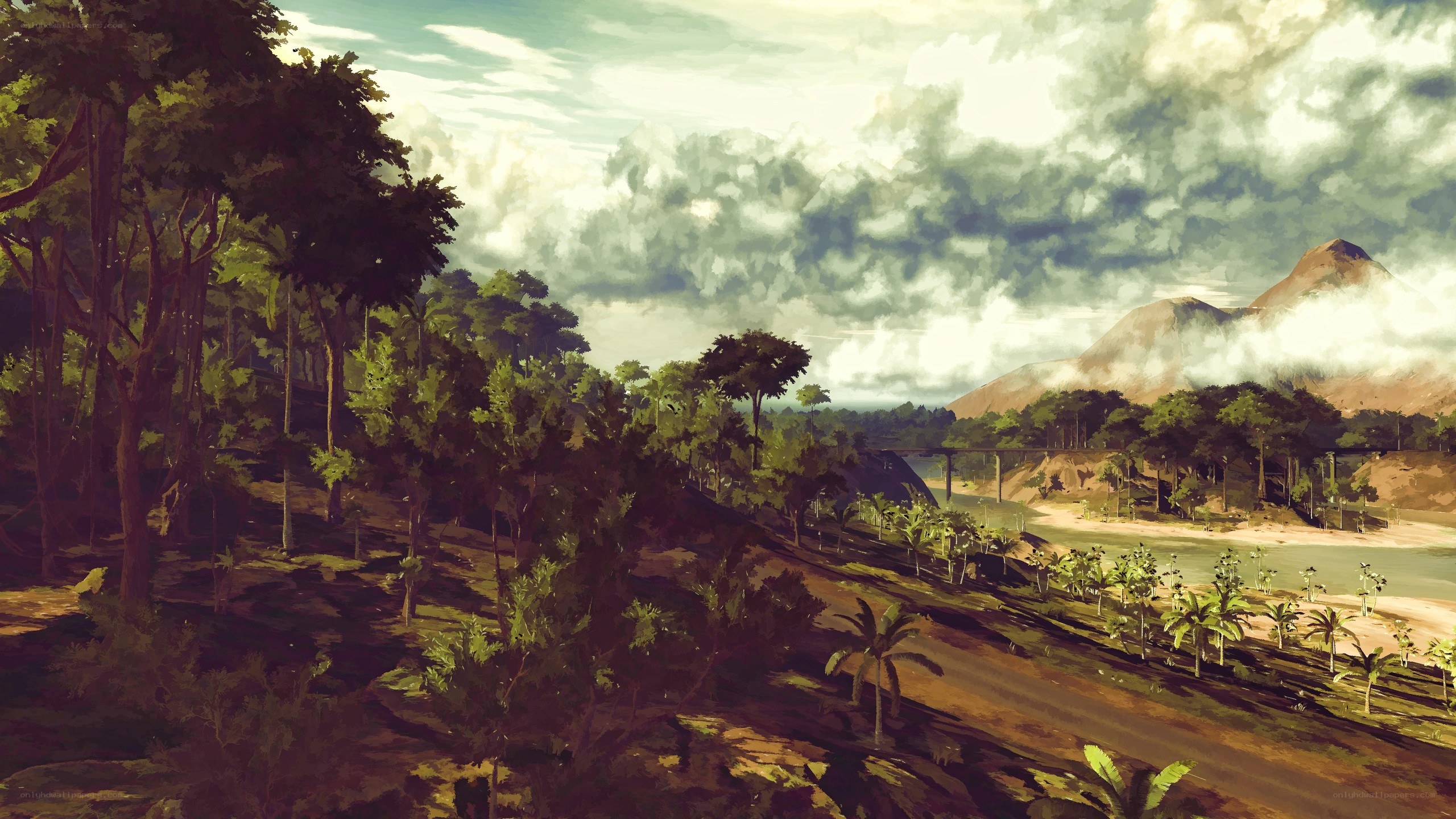tropical river landscape