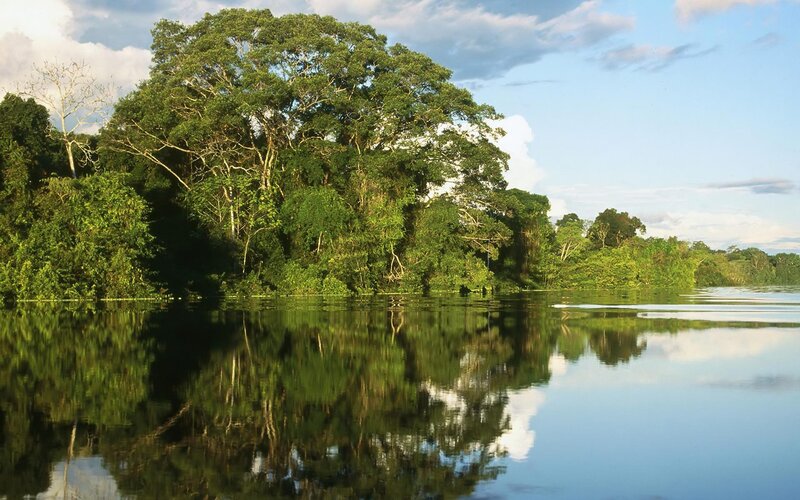Tropical River Landscape — Green