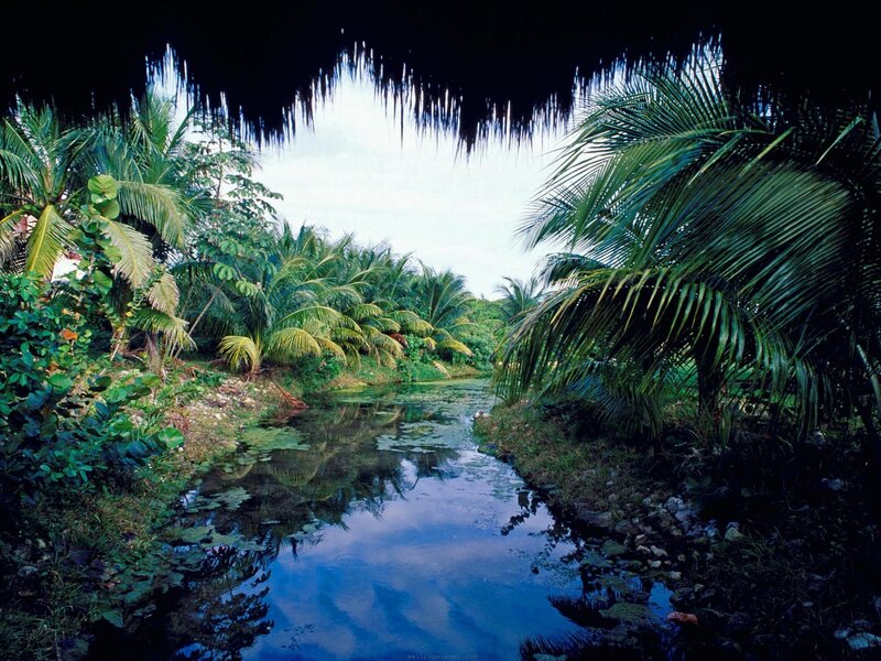 tropical river under thatched roof