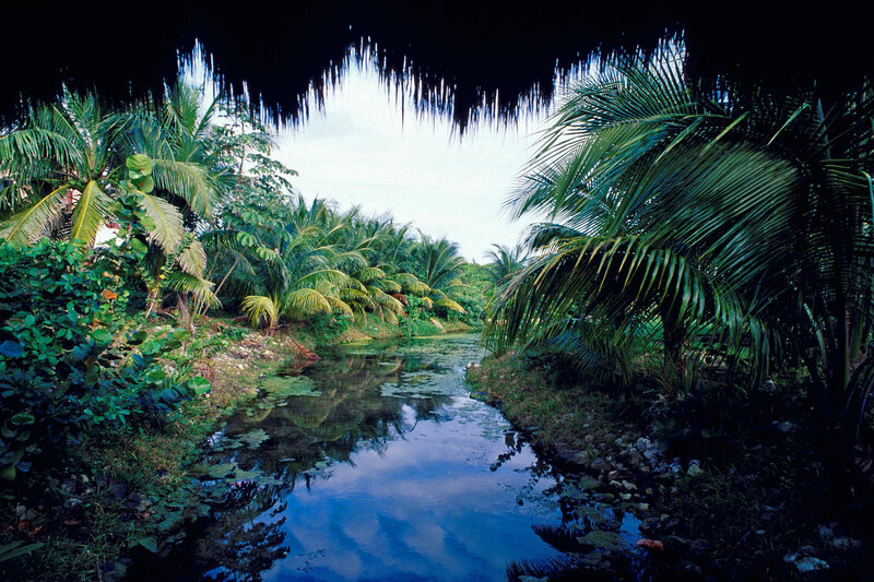 tropical river under thatched roof