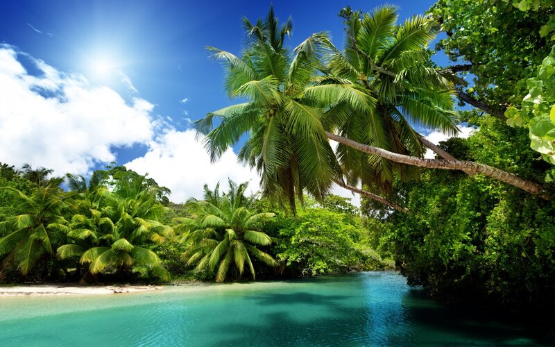Tropical River with Palm Trees — Blue, Serene, Afternoon, Photograph, Palm Trees, Sky