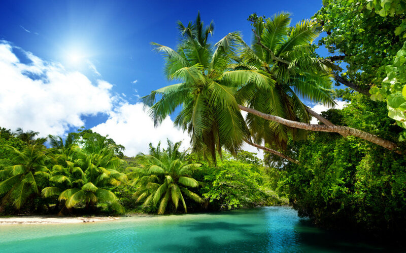 Tropical River with Palm Trees — Blue, Serene, Afternoon