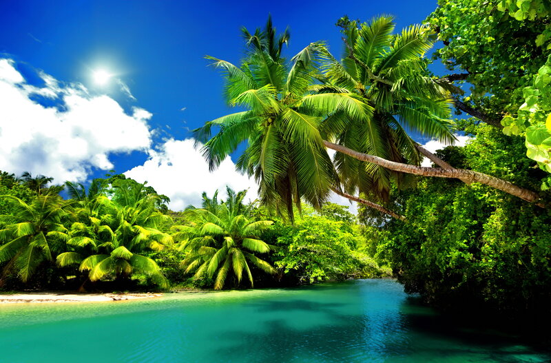Tropical River with Palm Trees — Blue, Serene