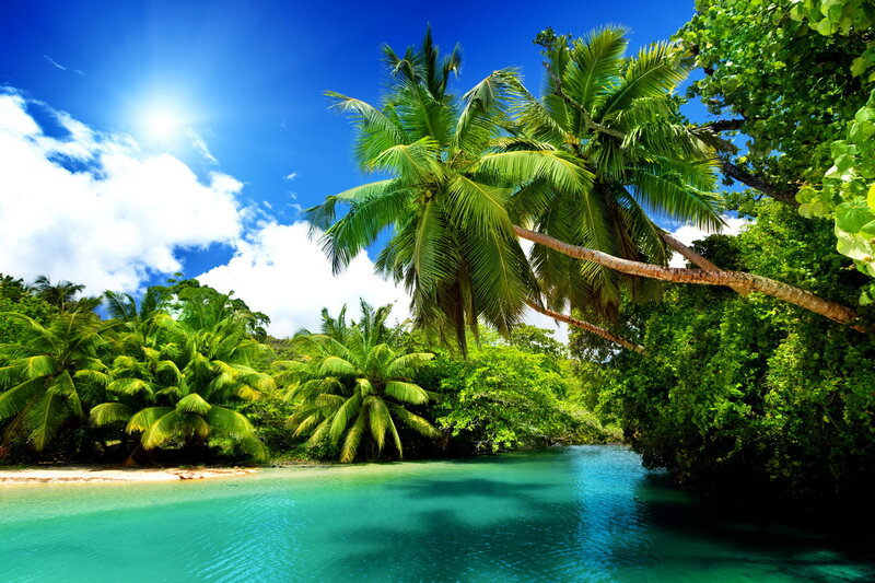 Tropical River with Palm Trees — Blue