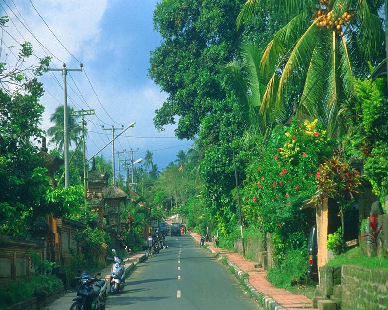 Tropical road in Bali village