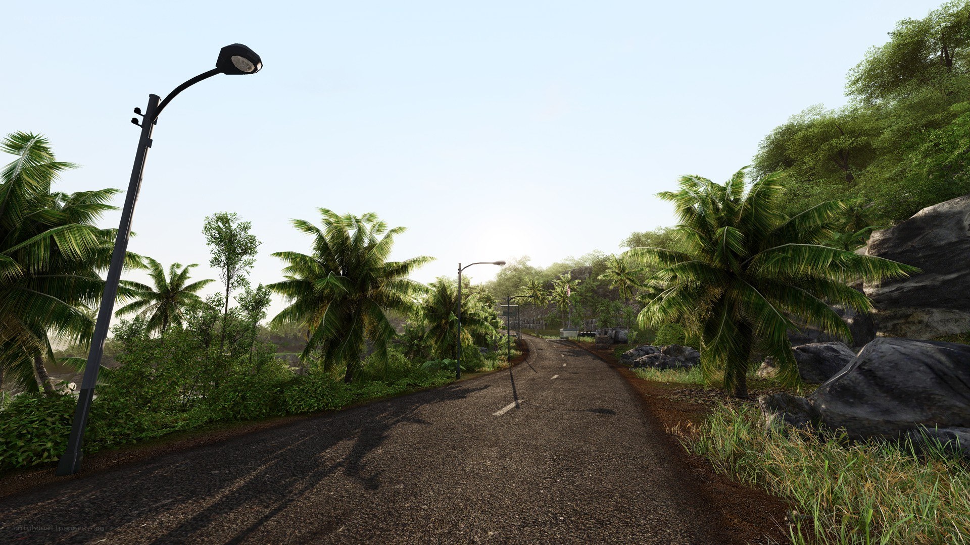 tropical road with palm trees