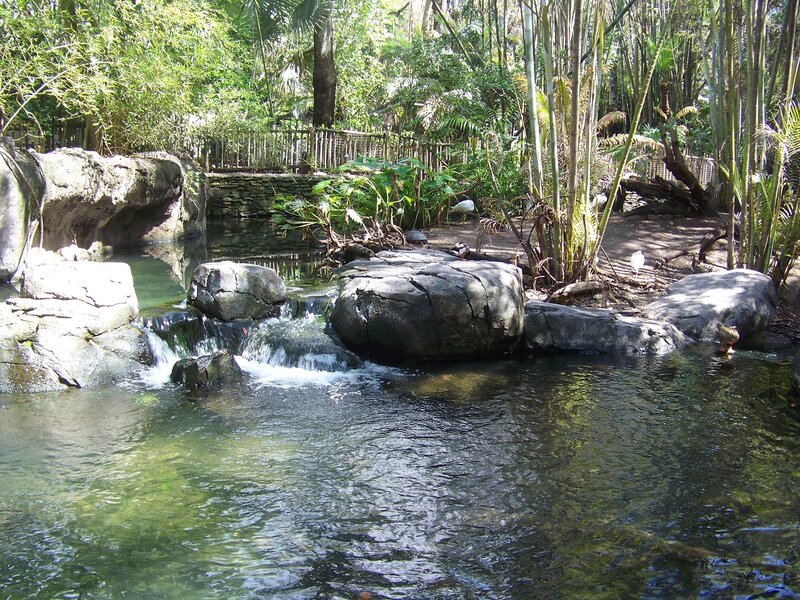 Tropical stream with waterfall
