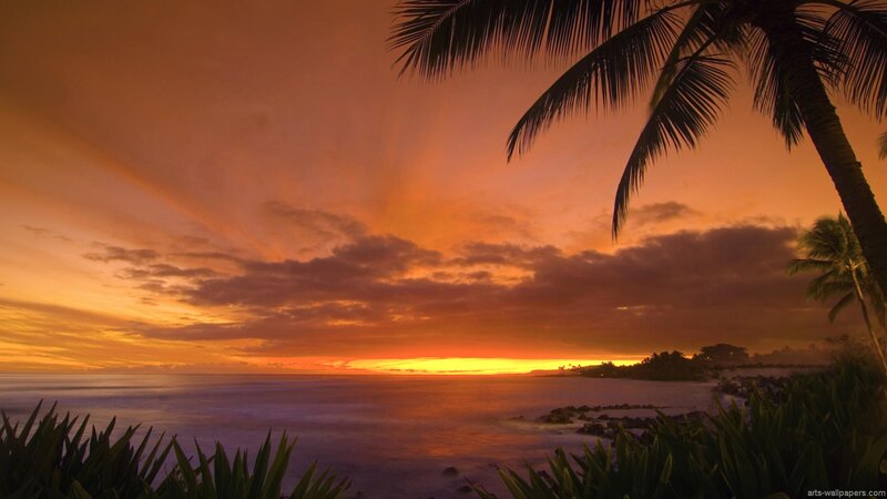 Tropical Sunset at Beach — Orange