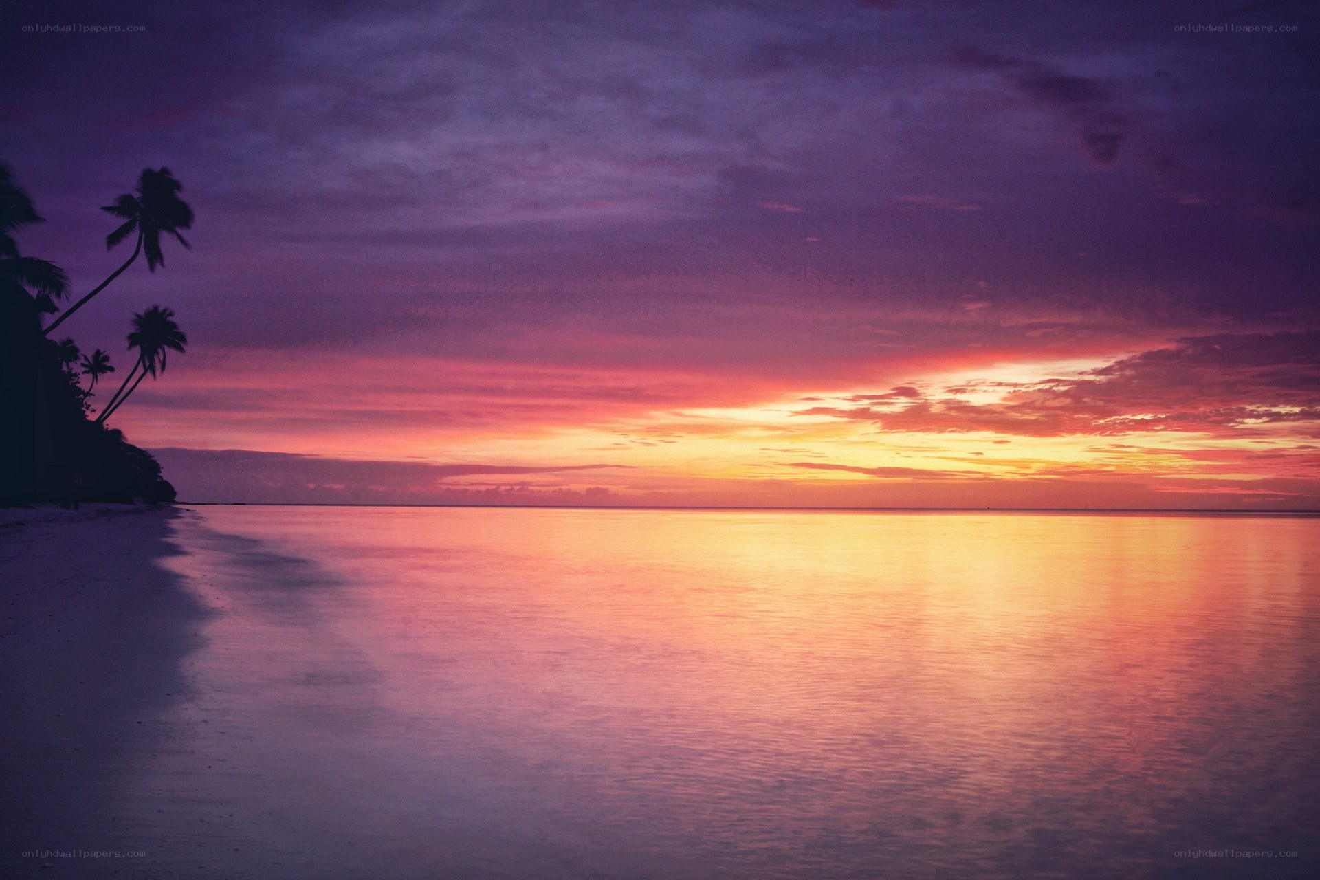tropical sunset at beach