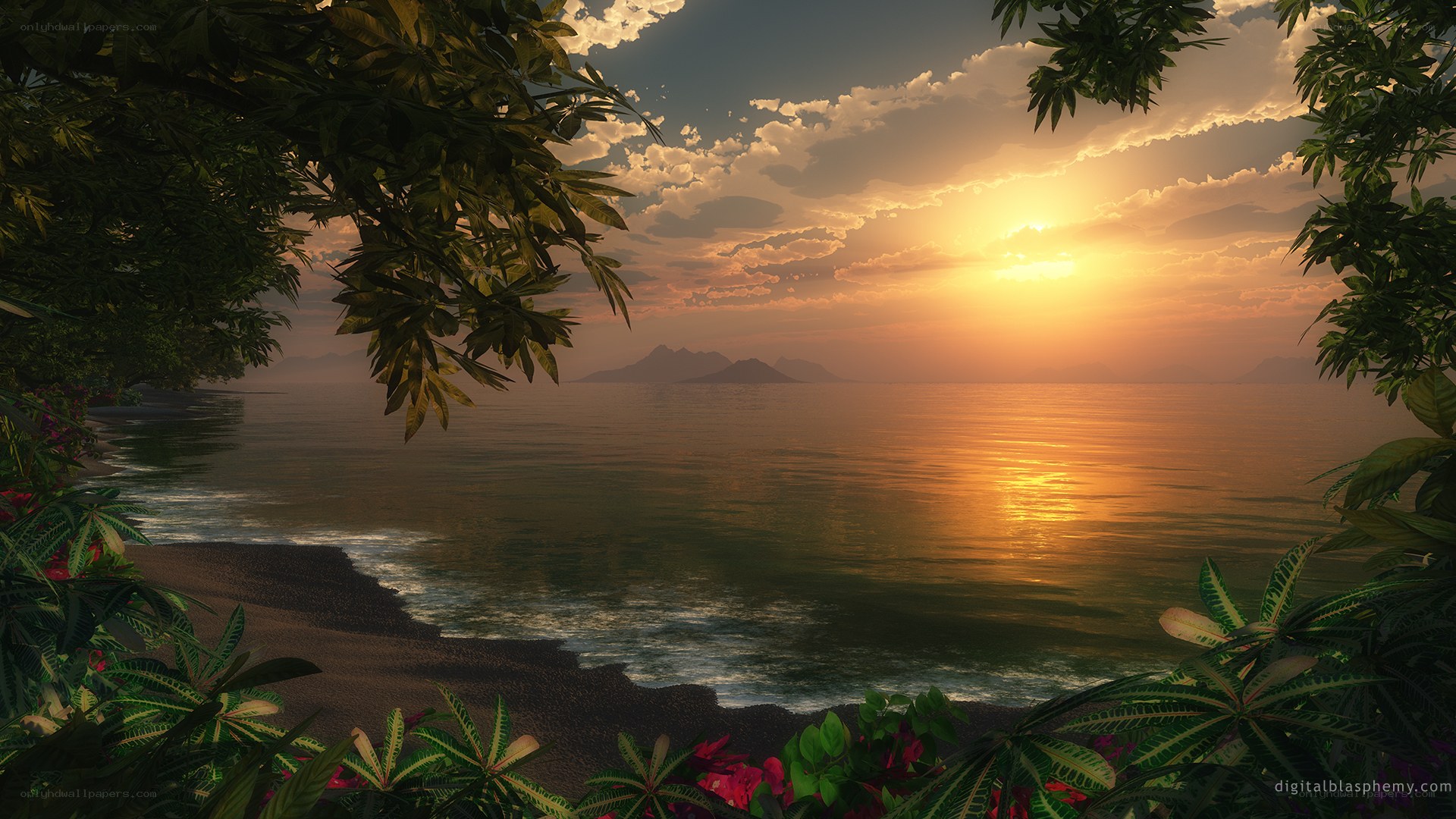 Tropical sunset by the sea