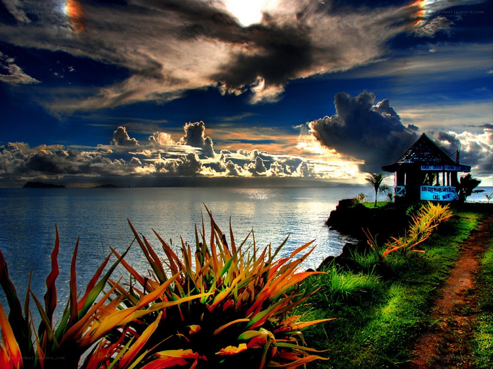 Tropical sunset by the sea
