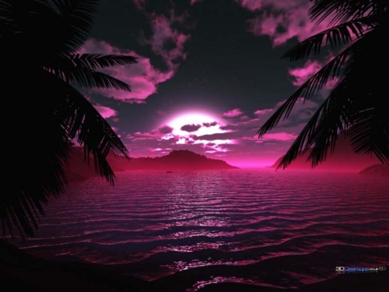 Tropical Sunset over Water — Pink