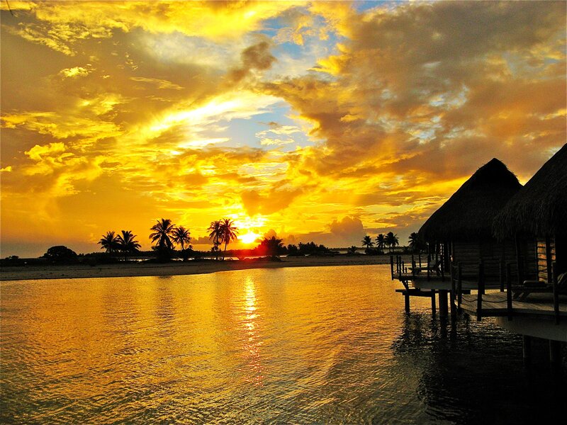Tropical Sunset over Water — Yellow
