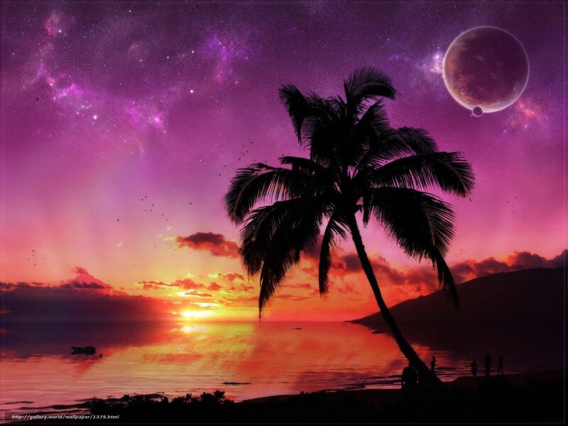 Tropical sunset with alien planet