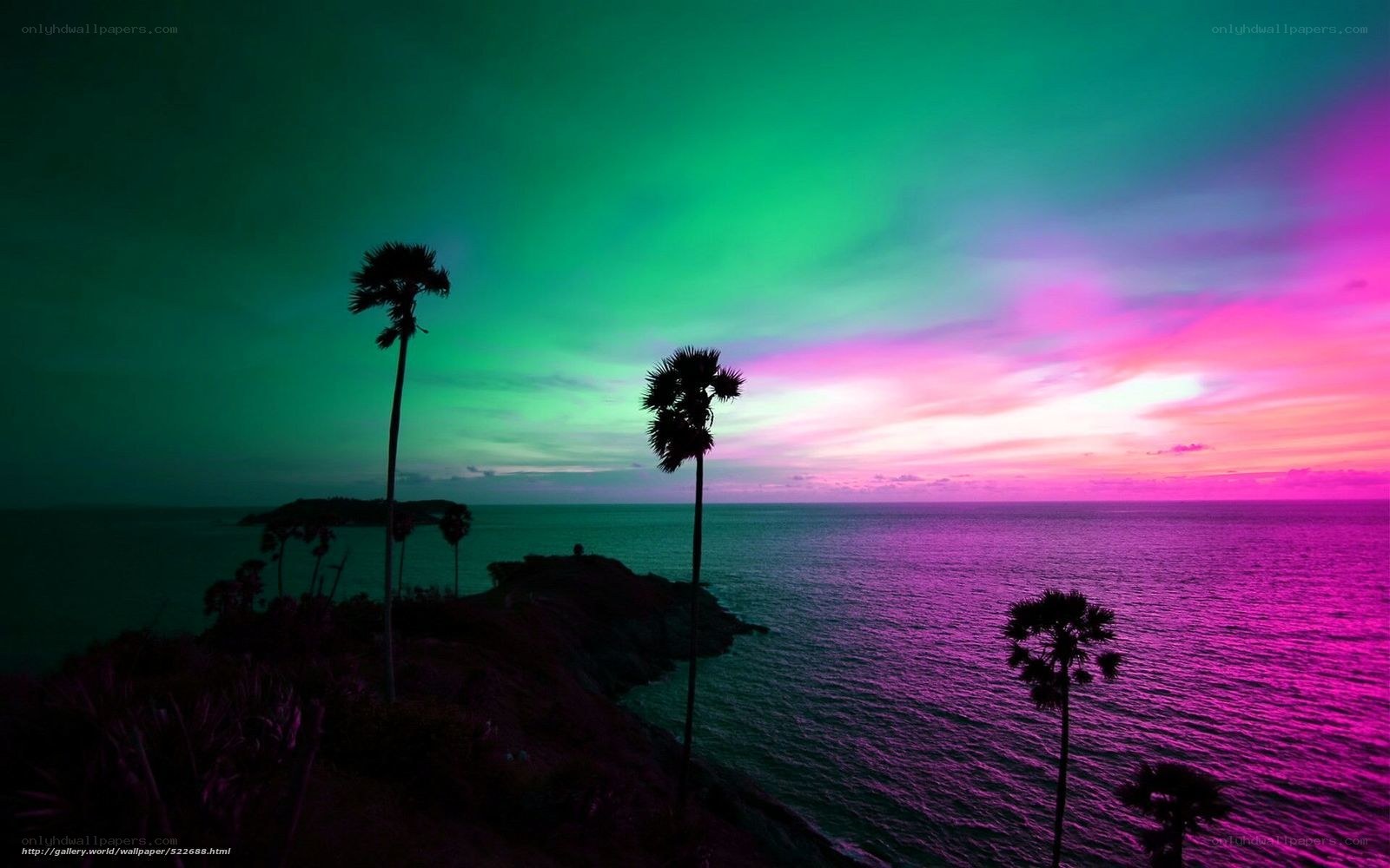 tropical sunset with aurora