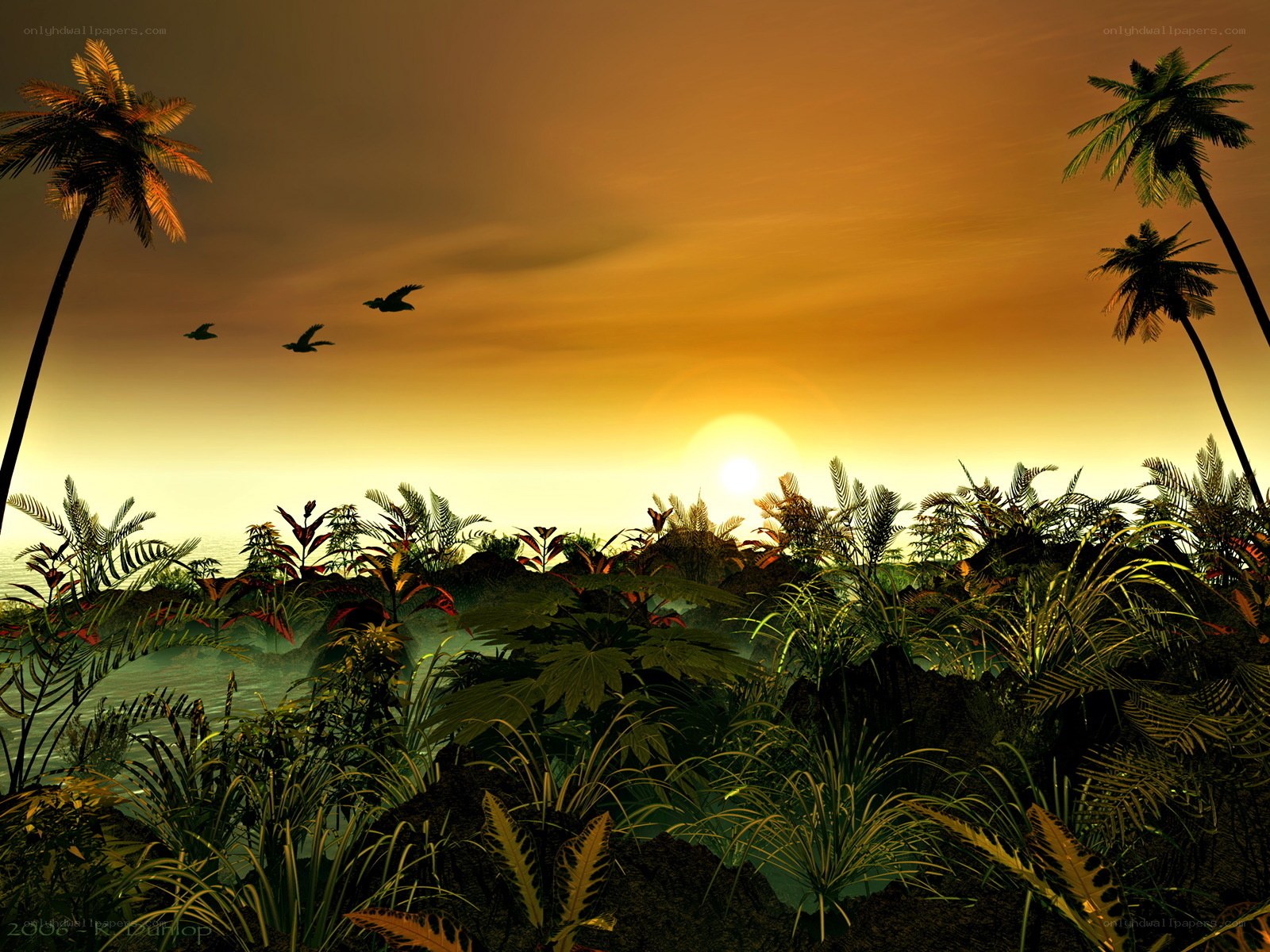 tropical sunset with birds
