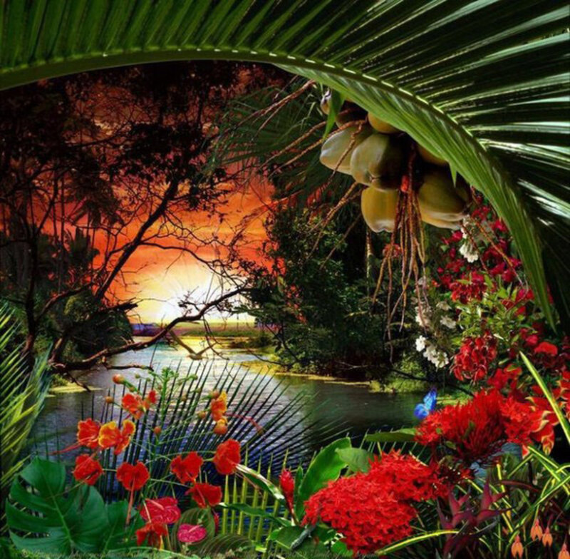 Tropical Sunset with Coconuts
