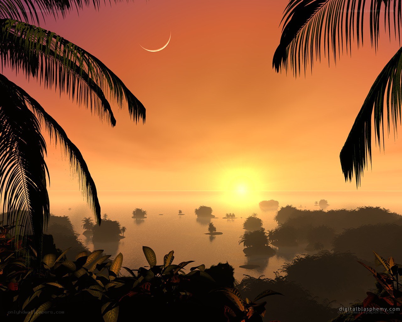 tropical sunset with crescent moon