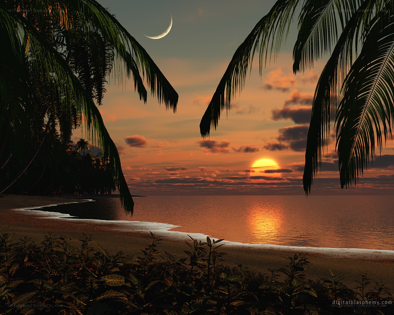 tropical sunset with crescent moon