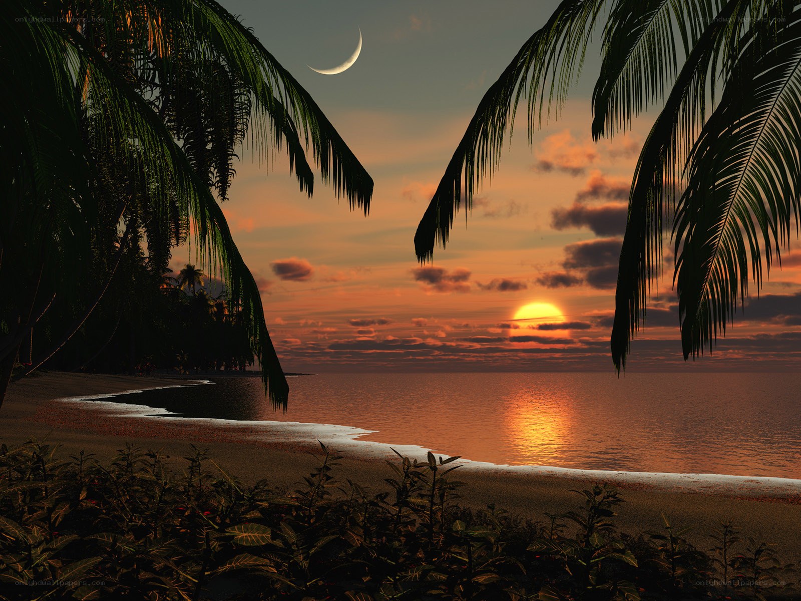 tropical sunset with crescent moon