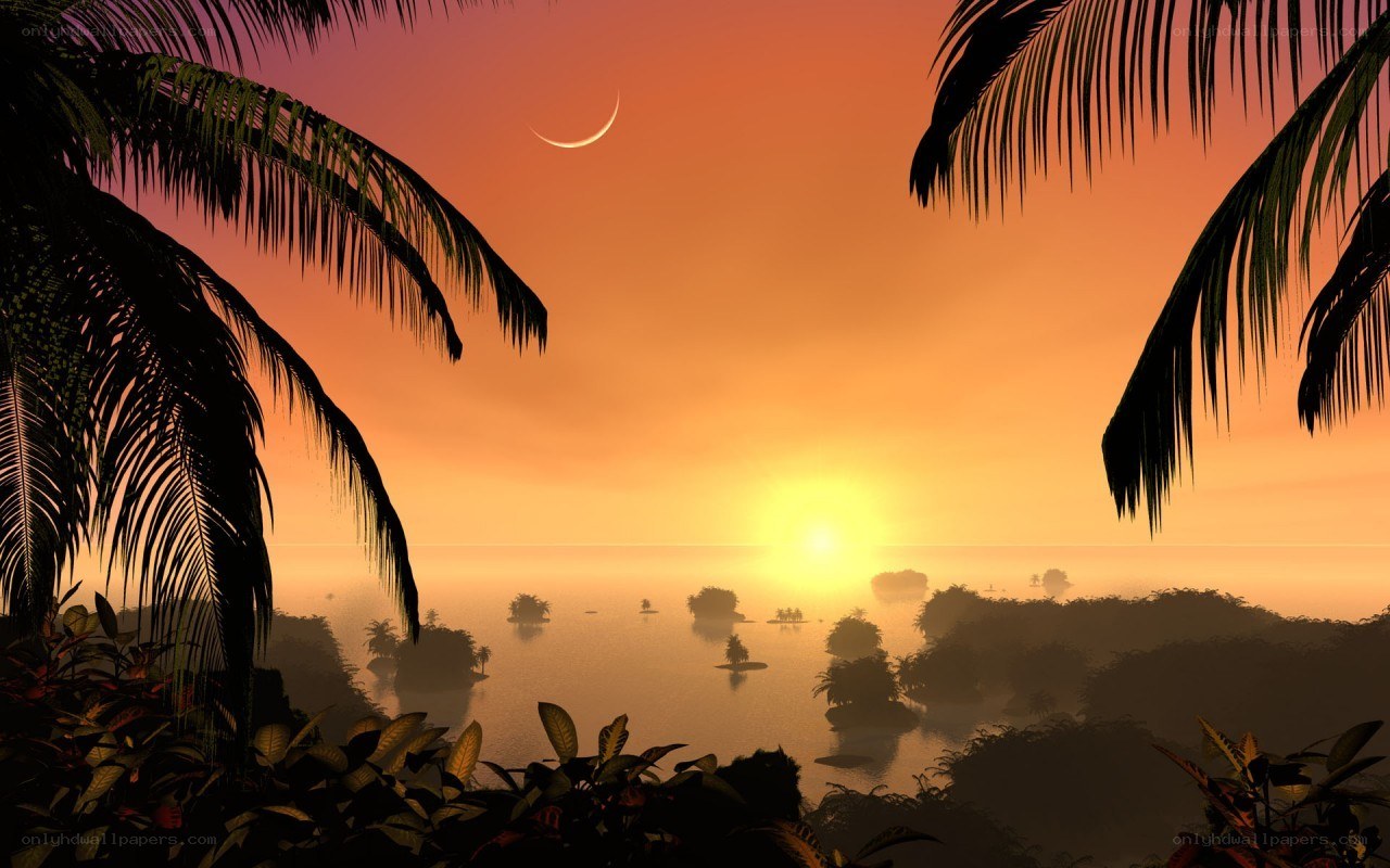tropical sunset with crescent moon
