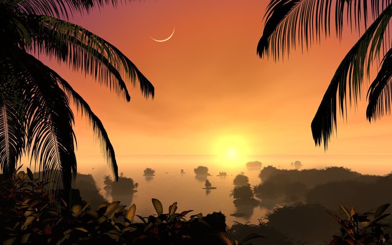tropical sunset with crescent moon