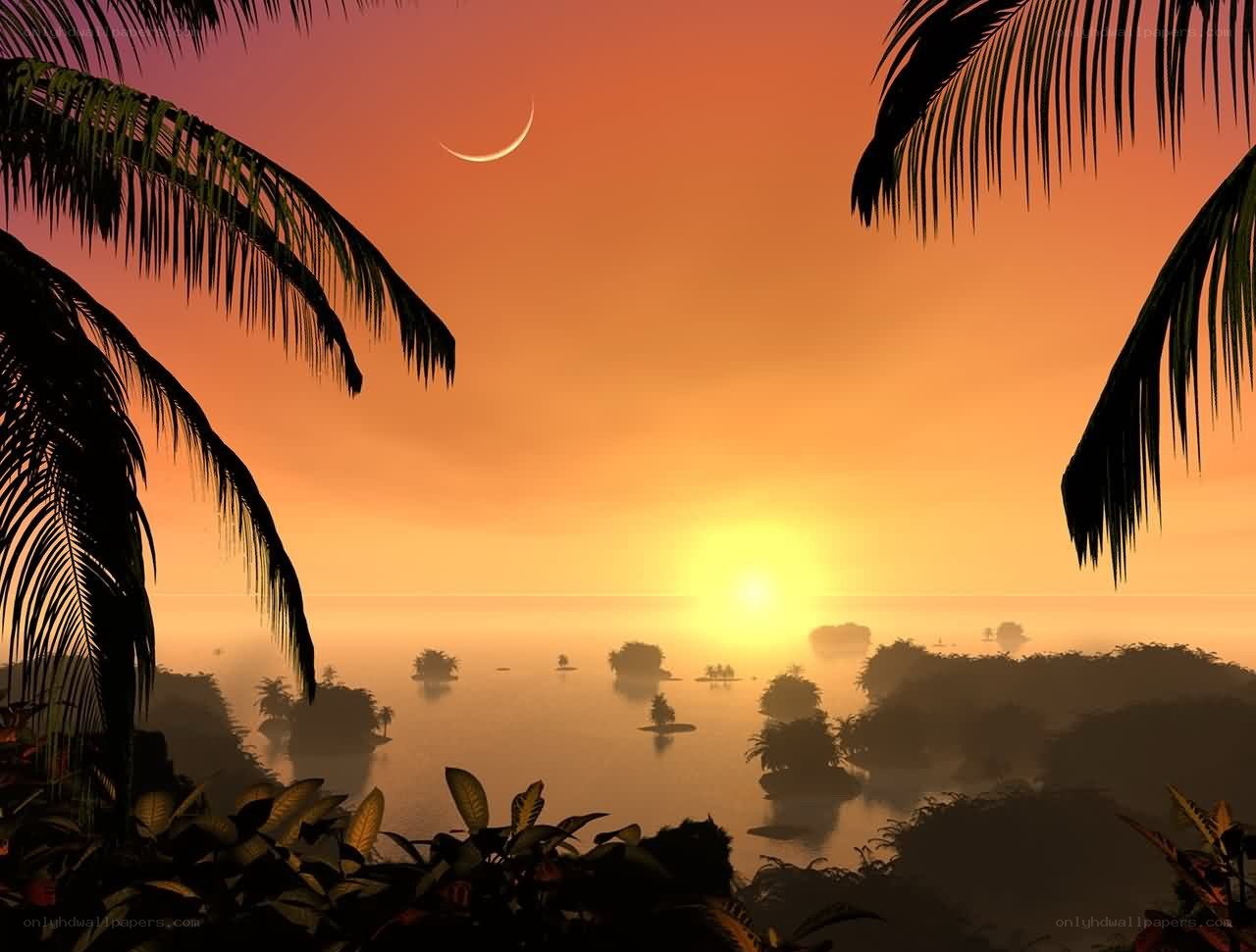 tropical sunset with crescent moon