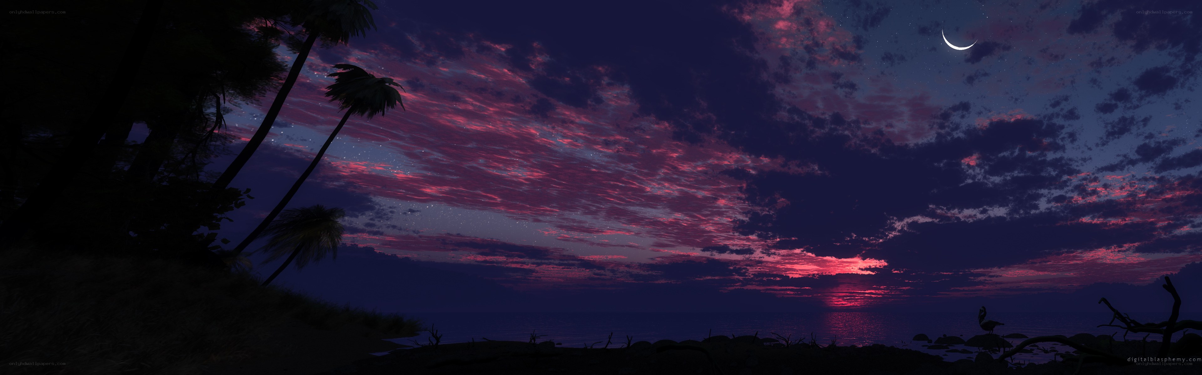 tropical sunset with crescent moon