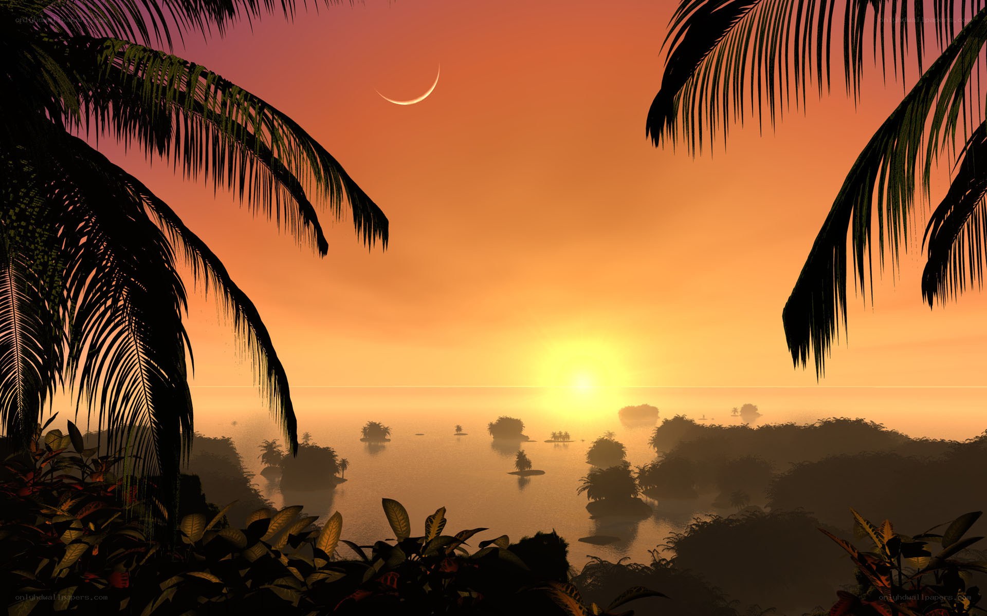 tropical sunset with crescent moon