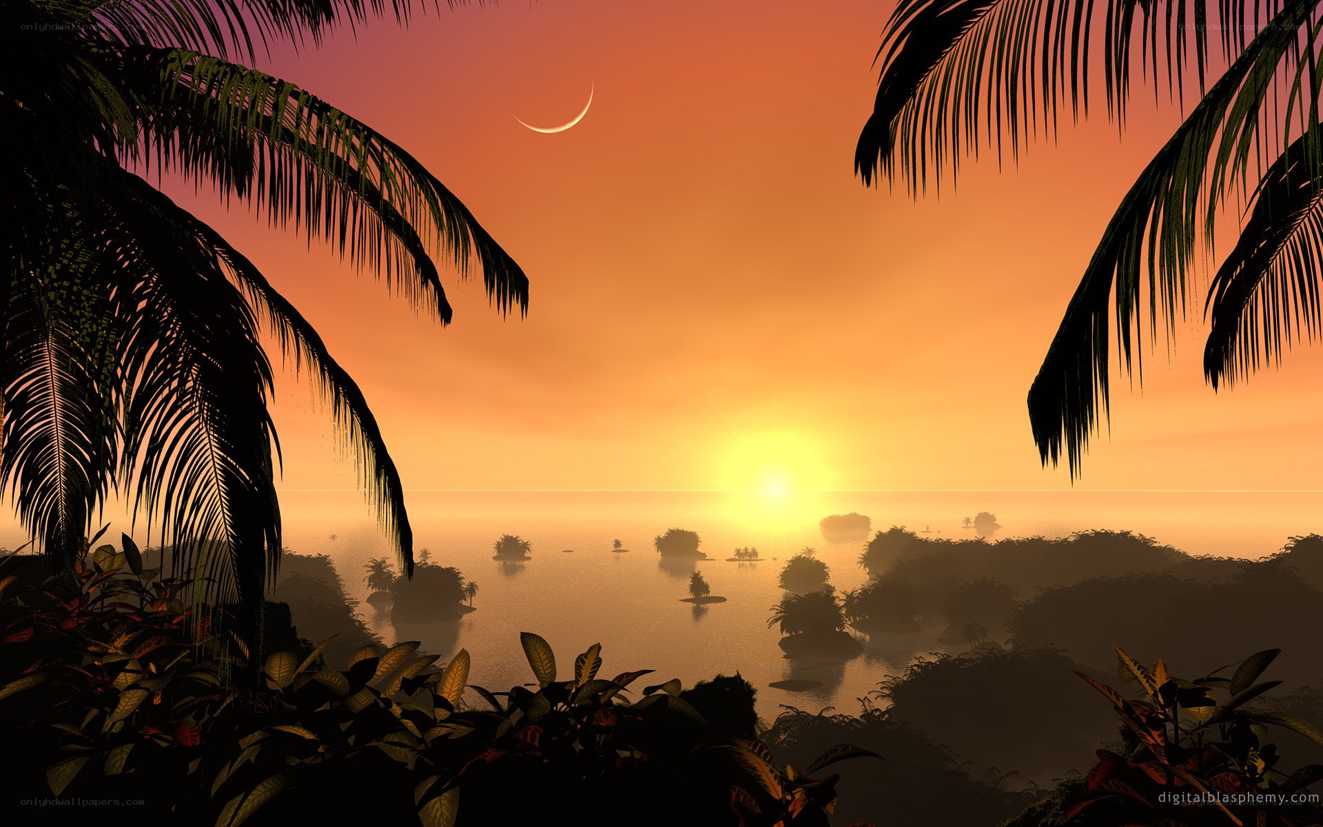 tropical sunset with crescent moon