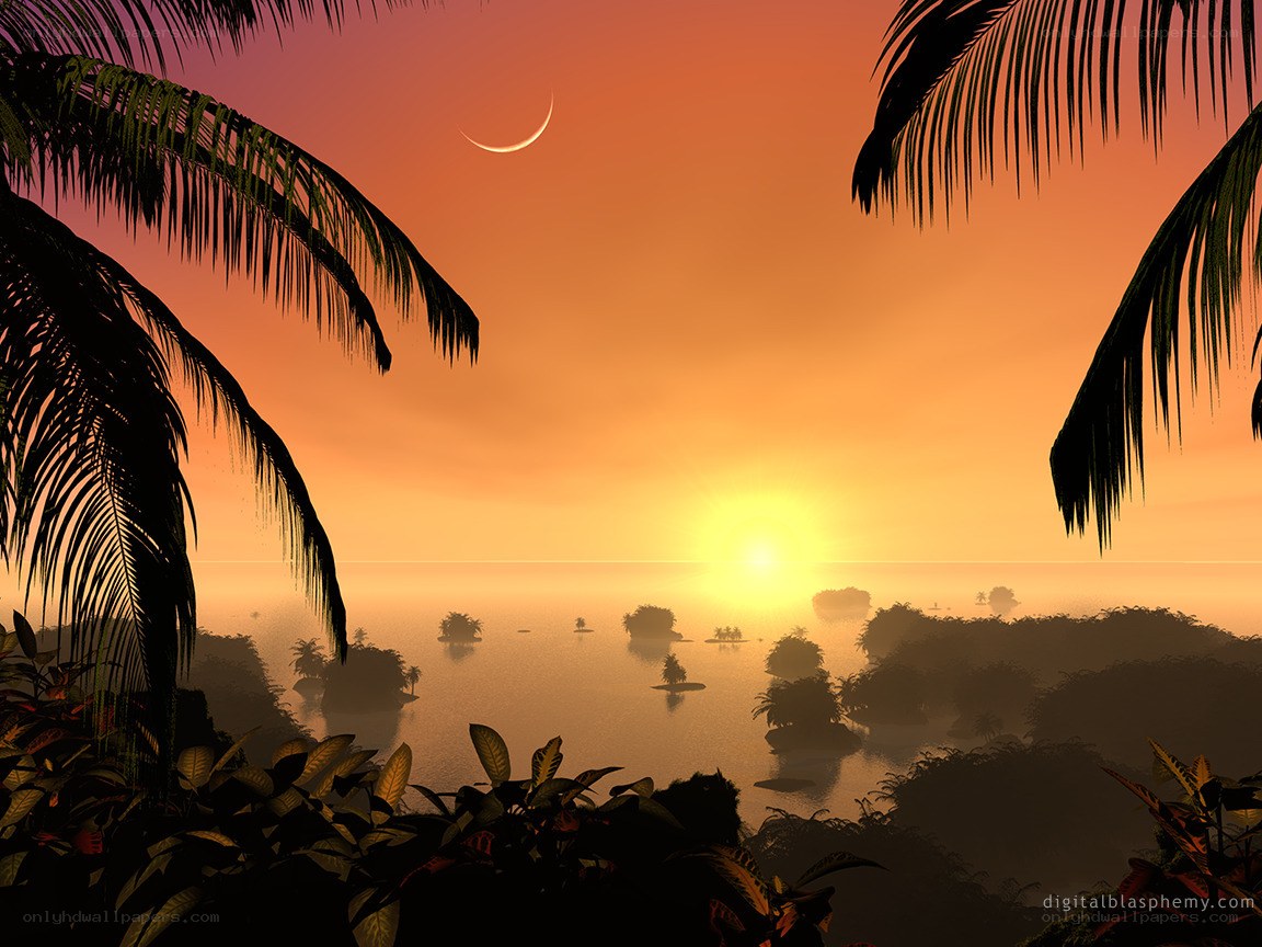 tropical sunset with crescent moon