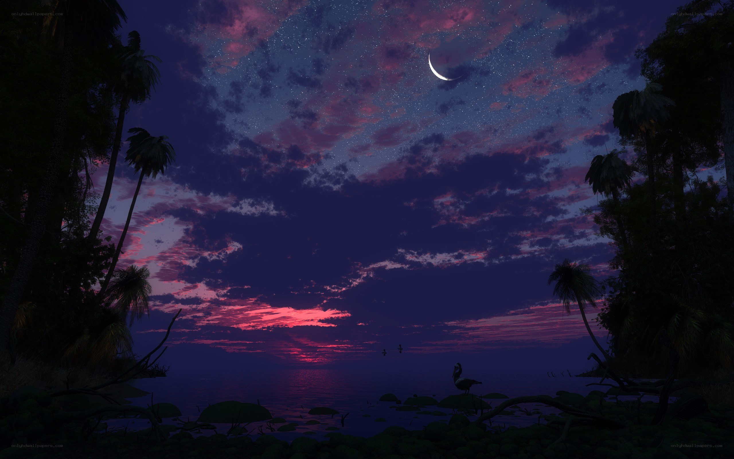 Tropical sunset with crescent moon
