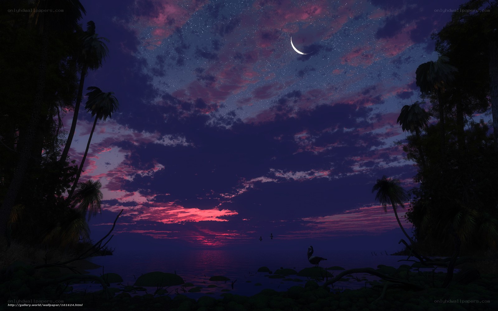 Tropical sunset with crescent moon