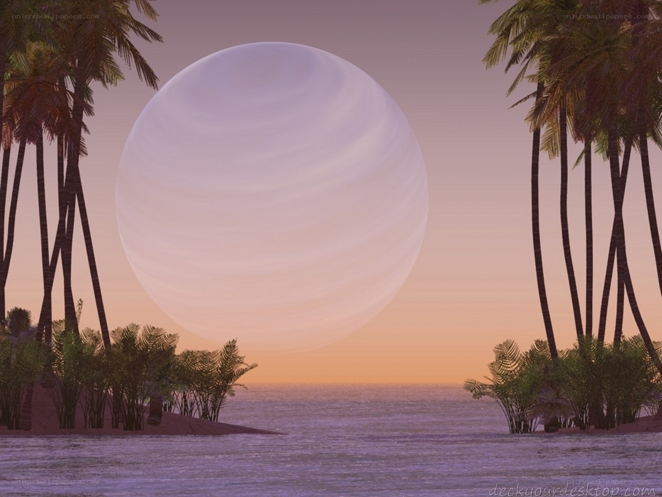 tropical sunset with giant moon