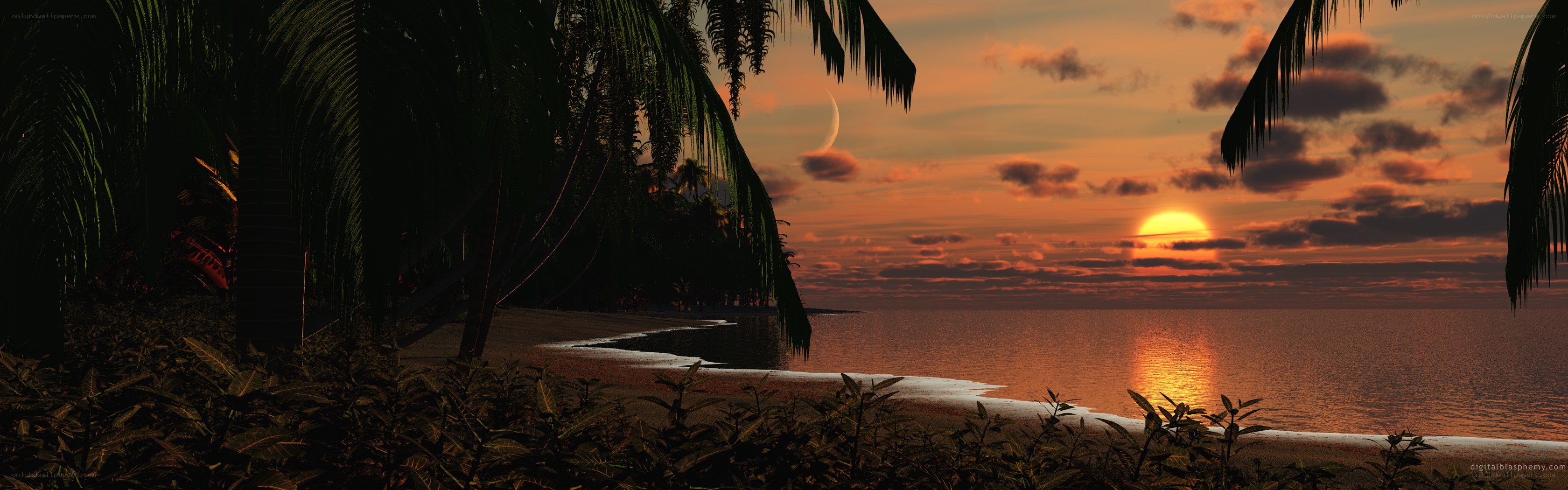 tropical sunset with moon