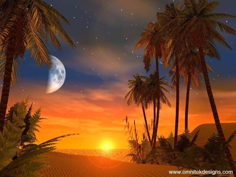 tropical sunset with moon