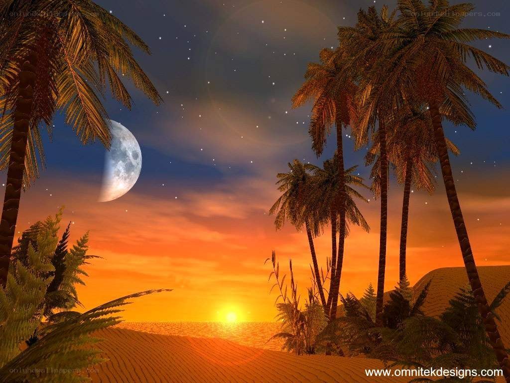tropical sunset with moon