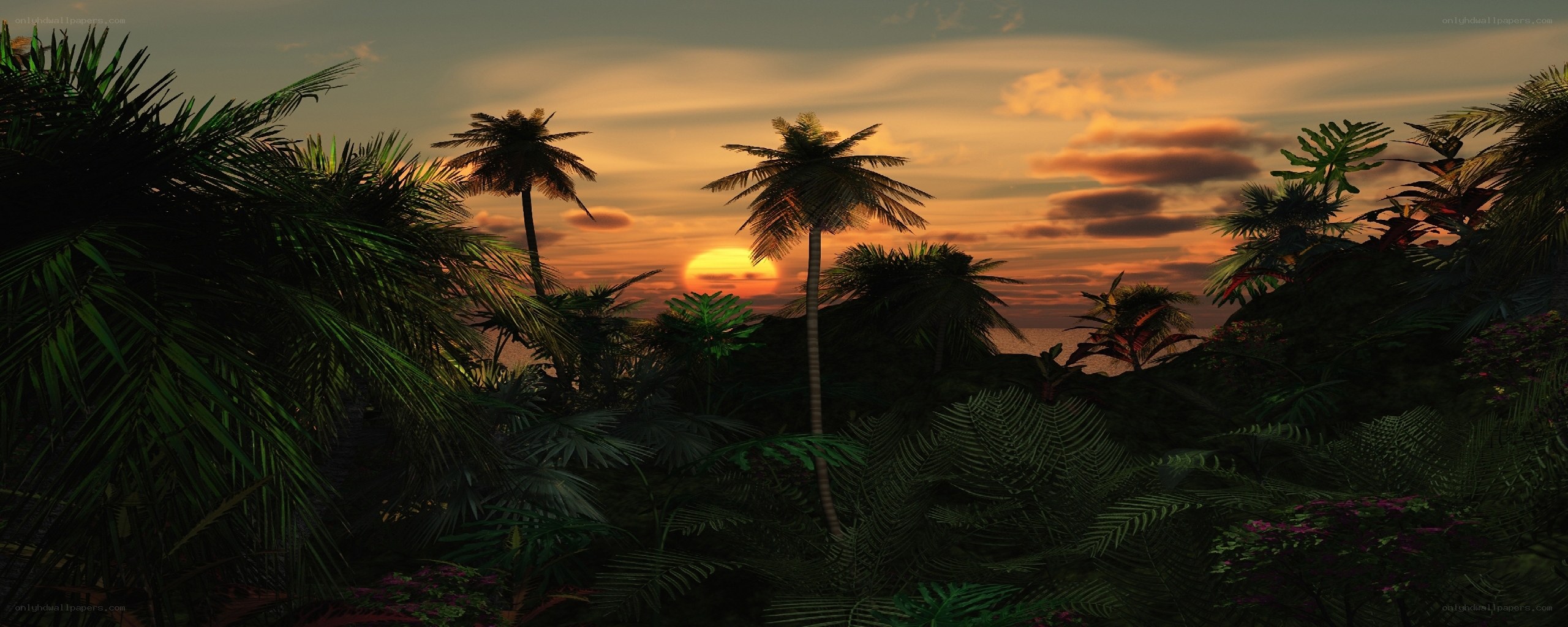 tropical sunset with palm trees