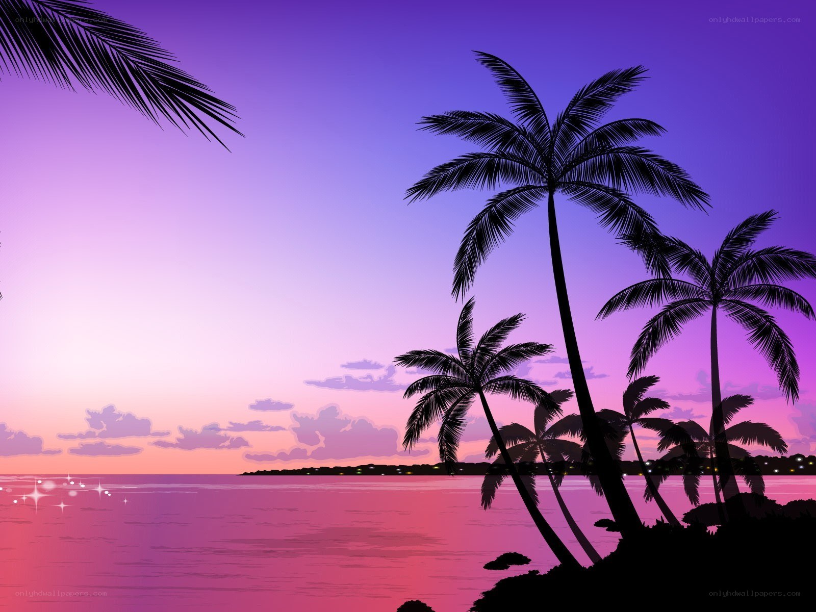 tropical sunset with palm trees