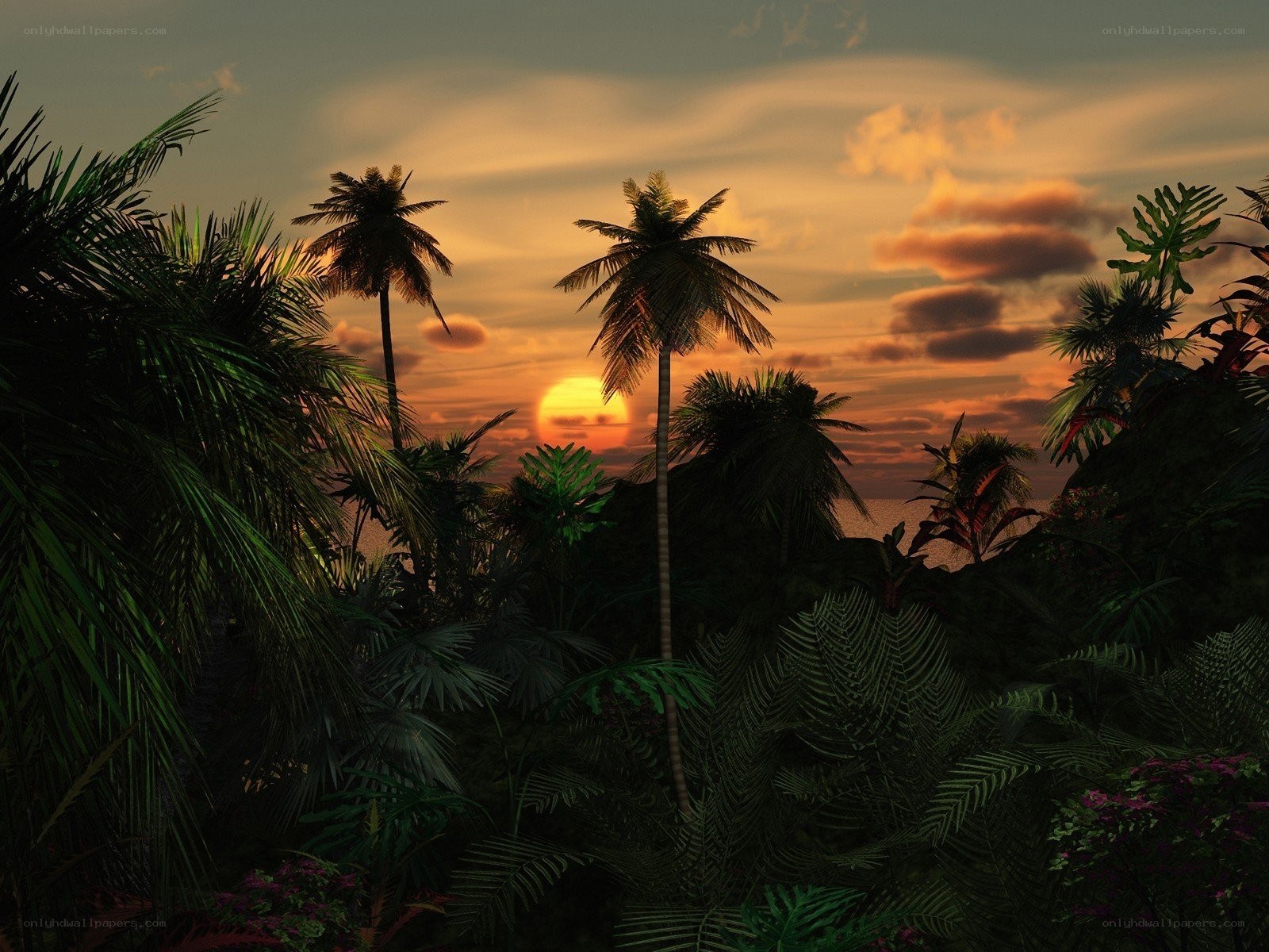 tropical sunset with palm trees