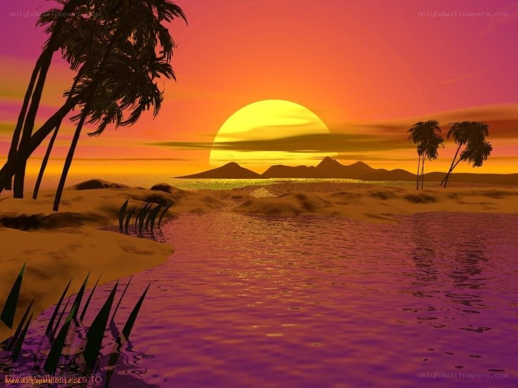 tropical sunset with palm trees