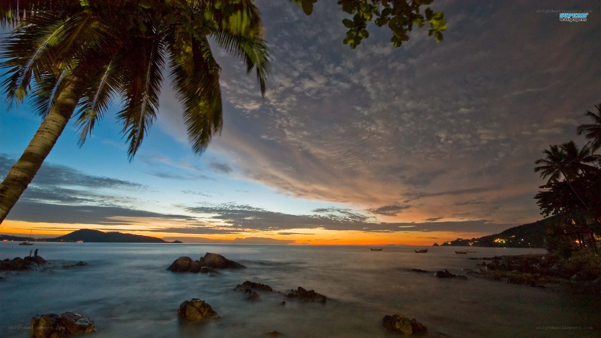 tropical sunset with palm trees