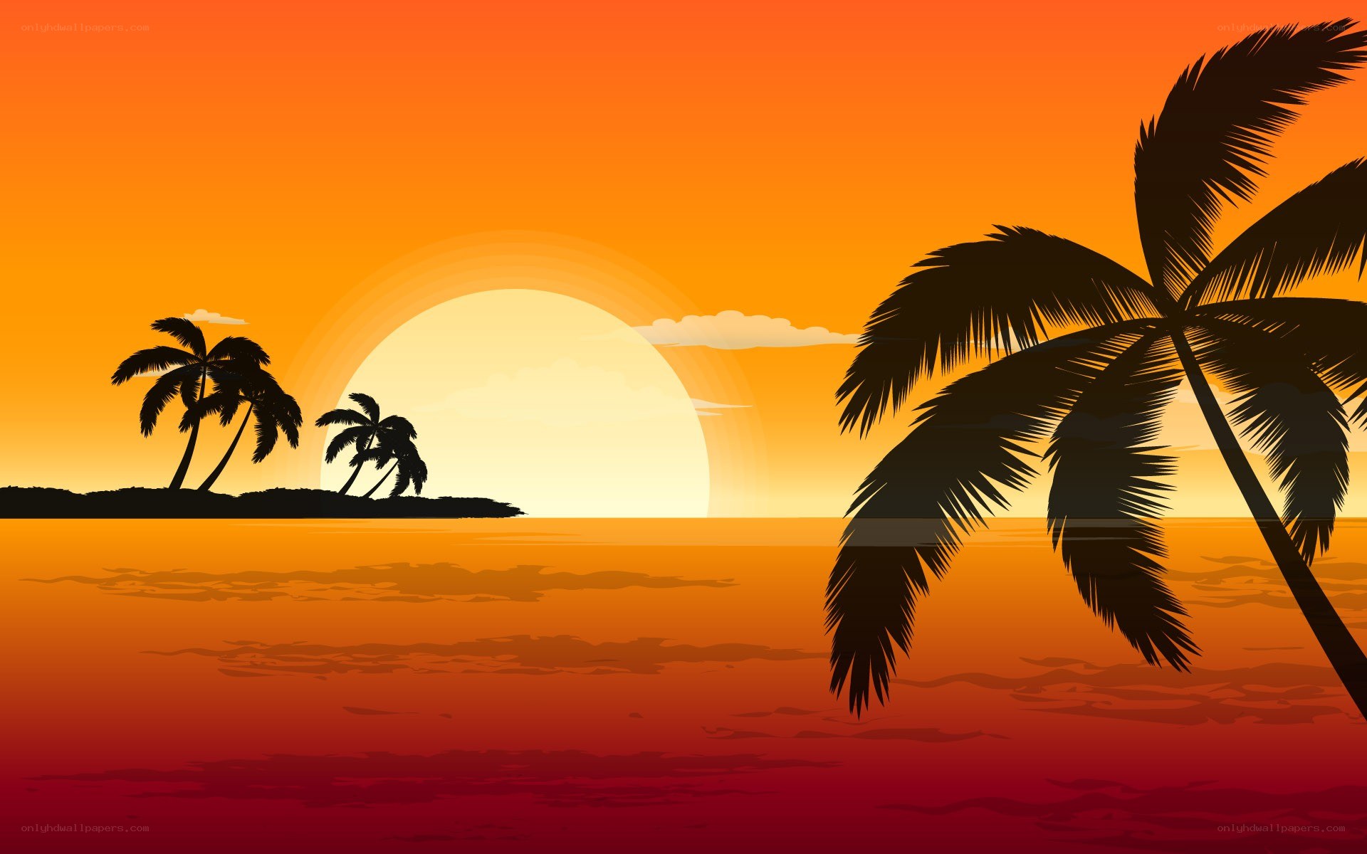 tropical sunset with palm trees