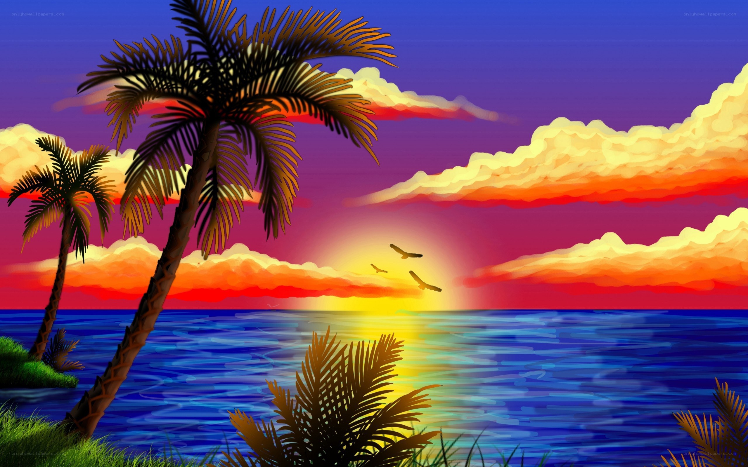 tropical sunset with palm trees