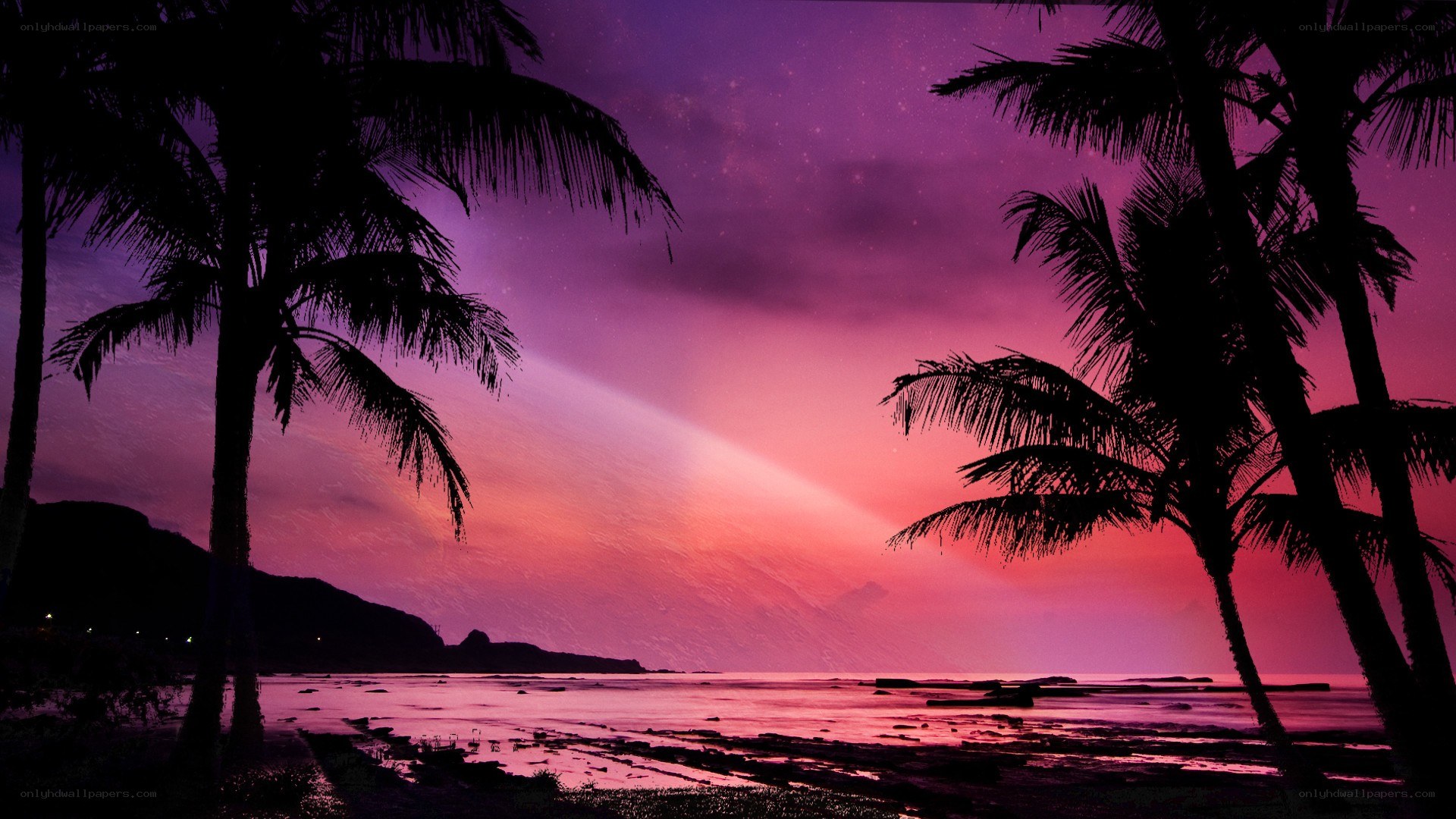 tropical sunset with palm trees